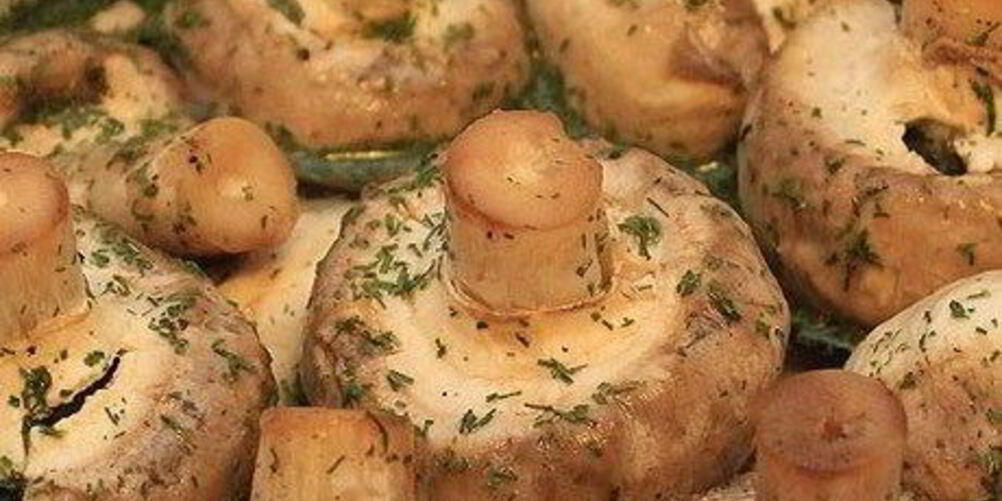 Рецепт шашлычков из шампиньонов