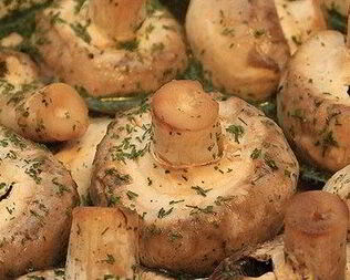 Шашлычки из шампиньонов