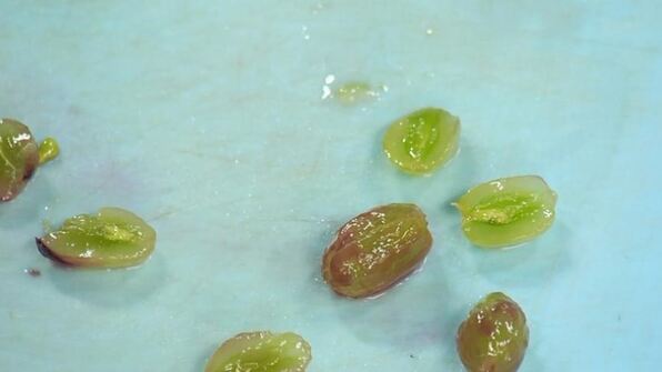 стейк из фуа-гра