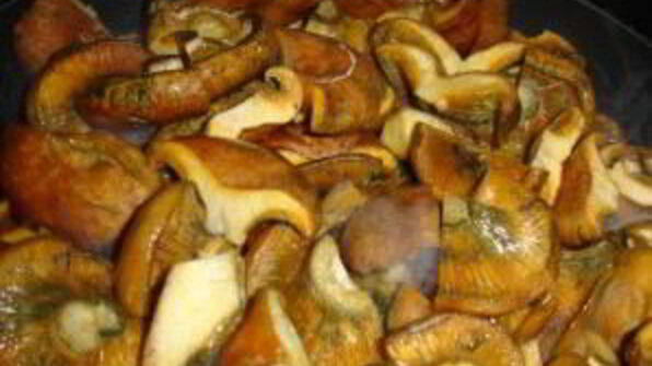 жаркое с курицей и грибами