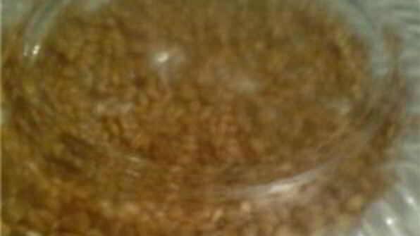 каша из проросшей пшеницы