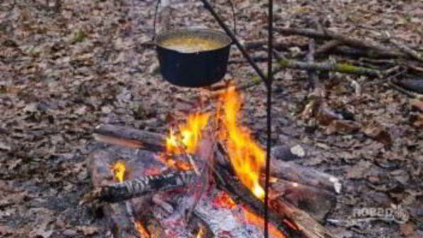 полевая каша