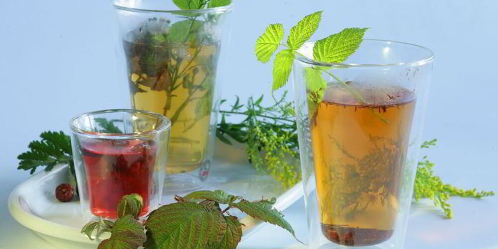 Рецепт чая с шиповником и крапивой