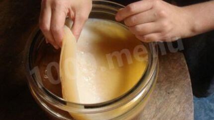 Чайный гриб