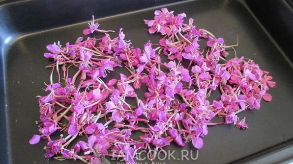 иван-чай ферментированный гранулированный