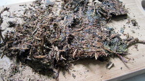 калмыкский чай