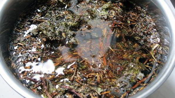 калмыкский чай