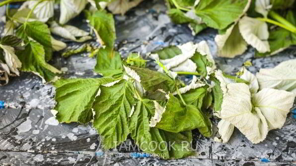 малиновый чай