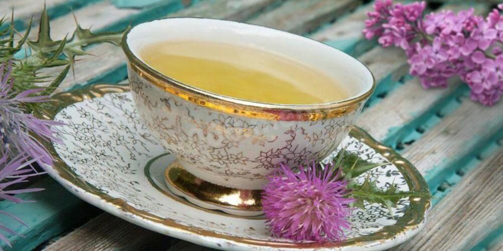 Рецепт расторопши чай