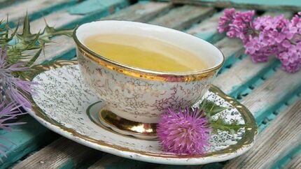 Расторопша чай