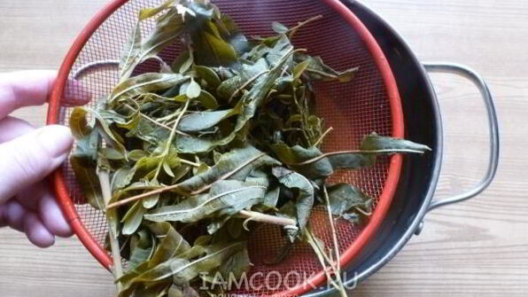 травяной чай таежный