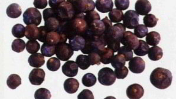 домашнее пиво из свеклы