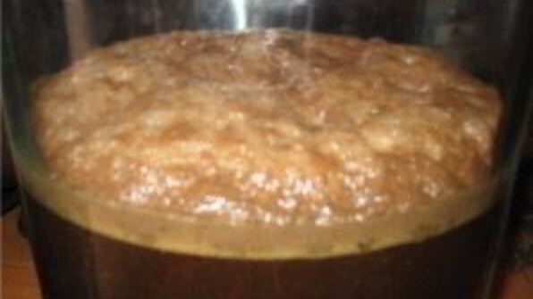 домашнее пиво из свеклы