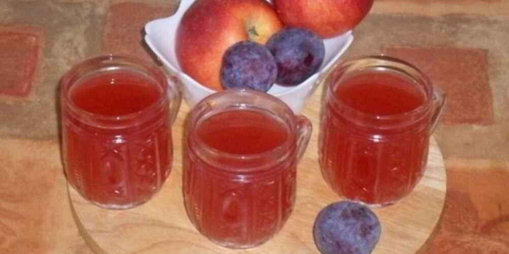 Рецепт киселя с яблоками, сливами и брусникой