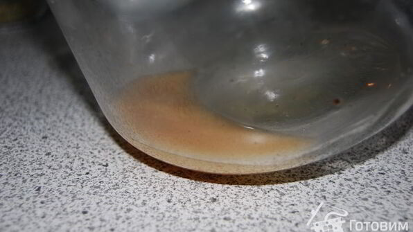 хлебный квас