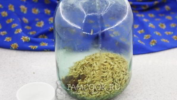 квас из овса