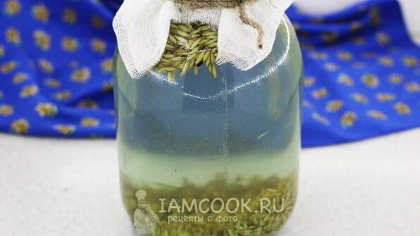 квас из овса