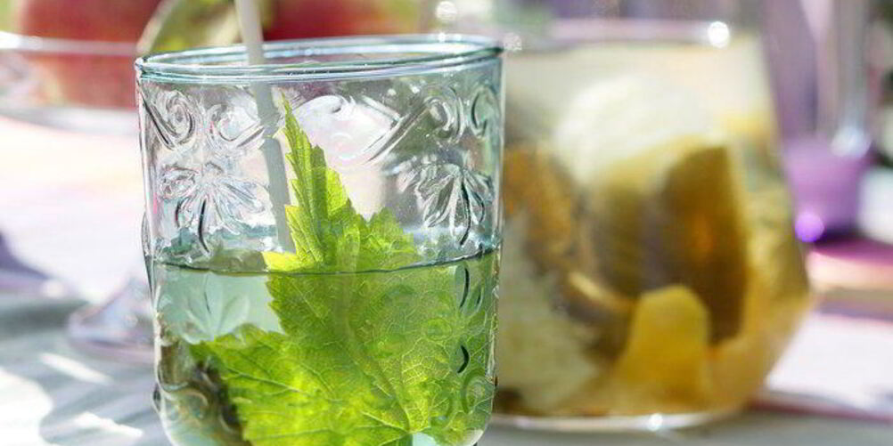Рецепт лимонада с листьями смородины и мяты