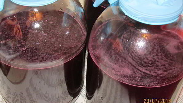 вино из черной смородины