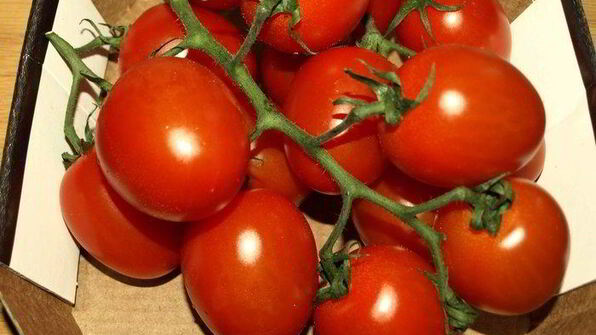 картофельный салат с помидорами и укропом