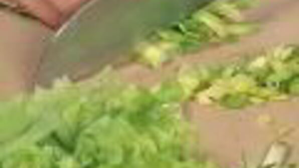 рисовый салат с креветками