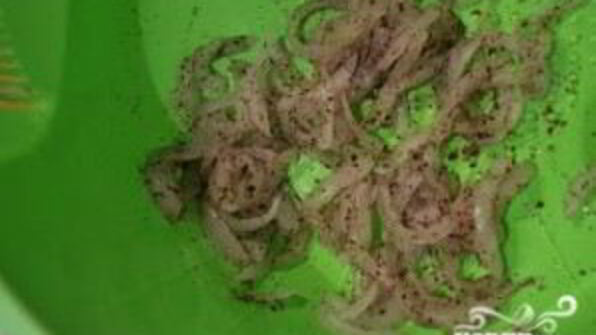 салат из белой фасоли