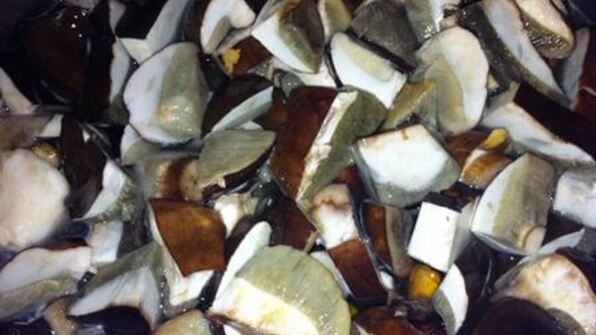 соус из белых грибов