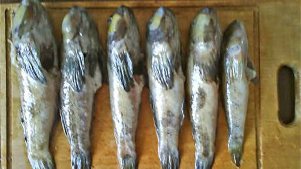 борщ с бычками и фасолью