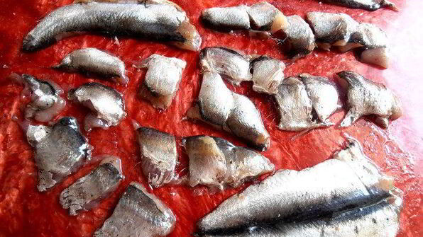 норвежский борщ с килькой