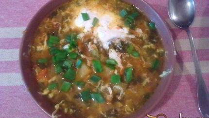 Терский борщ с щавелем