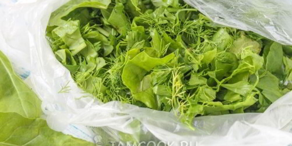 Рецепт заморозки для зеленого борща на зиму