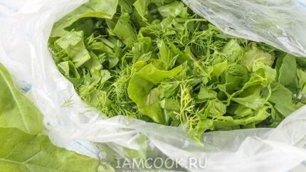 Заморозка для зеленого борща на зиму