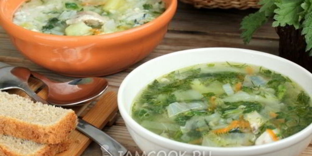 Рецепт супа с крапивой на курином бульоне