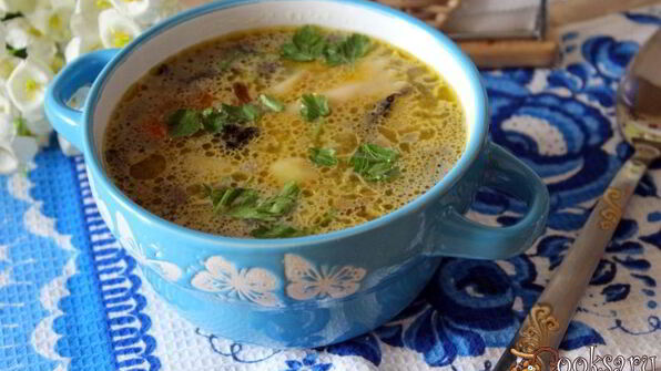 суп с шампиньонами и фарфалле на курином бульоне