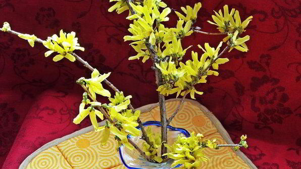 холодник на кефире с маринованной свеклой