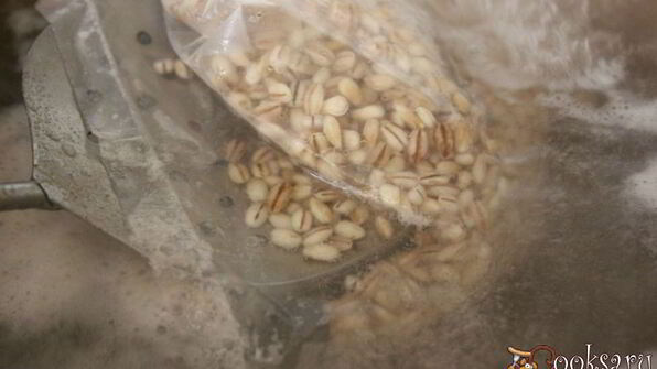 щи из кислой капусты с перловкой на мясном бульоне