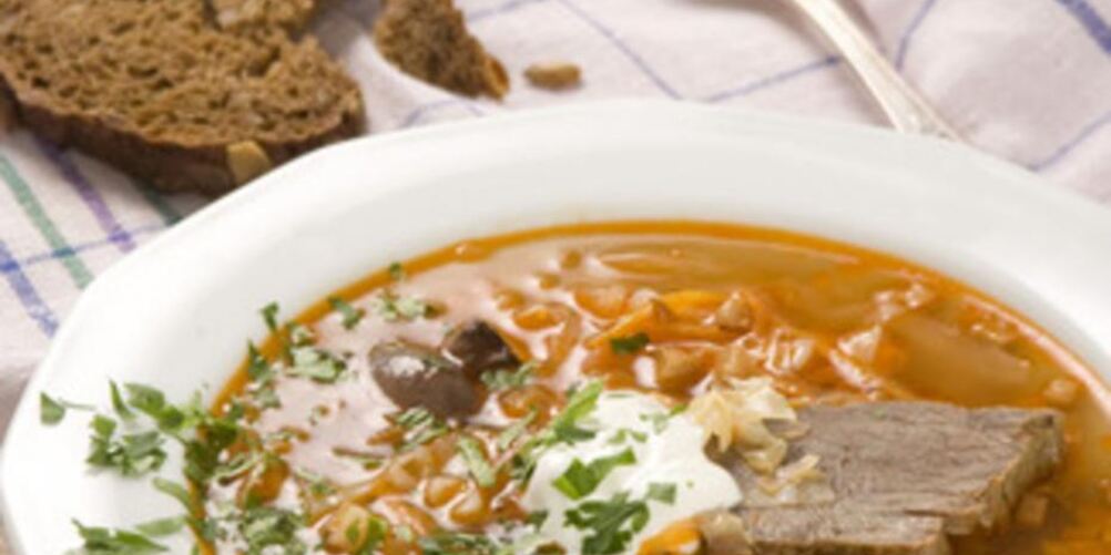Рецепт щей из оленины с грибами
