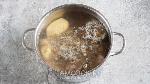 щи из серой капусты