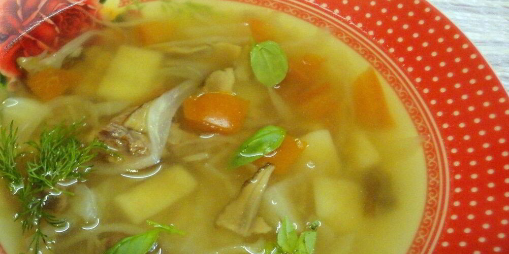 Рецепт щей на говяжьем бульоне