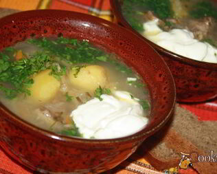 Щи с говядиной и квашеной капустой