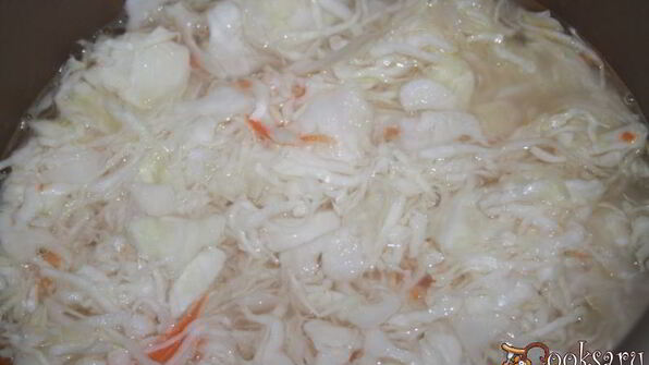 щи с говядиной и квашеной капустой