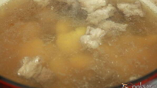 щи с говядиной и квашеной капустой