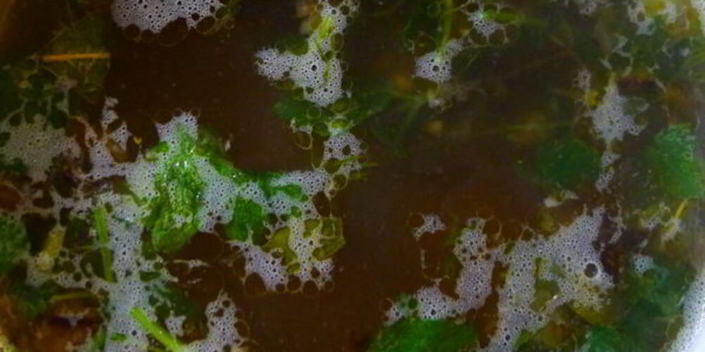 Рецепт щей со щавелем