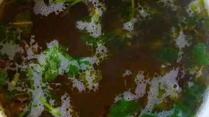 Щи со щавелем