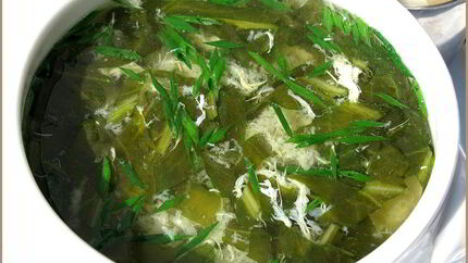 Зеленые щи с щавелем