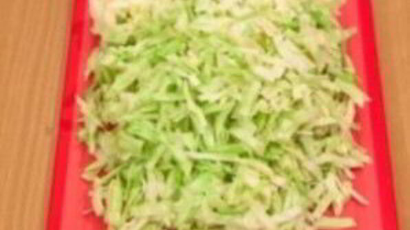 постная солянка