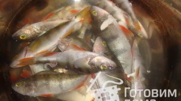 рыбная солянка сборная