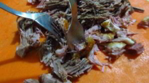 солянка московская