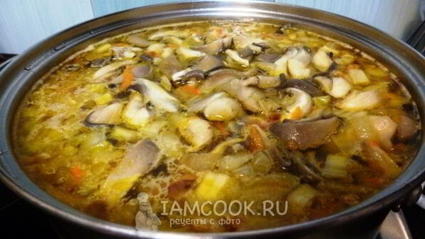 суп из соленых грибов