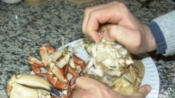 суп-пюре из крабов